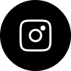 insta logo